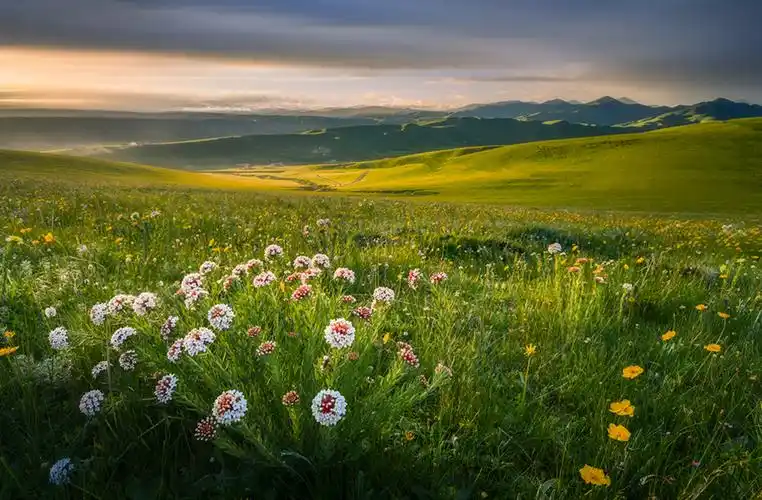 阿坝草原_风景_poco摄影