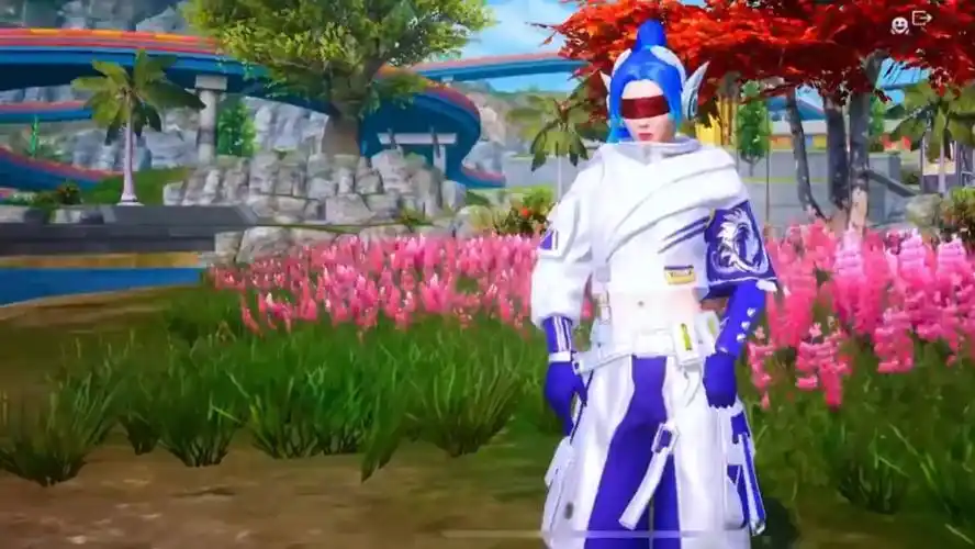 hp和平精英皮肤