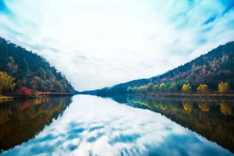 12生肖中,好运加持,贵人开路,升官发财的三生肖