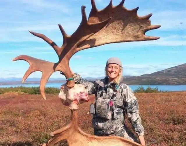 大兴安岭出现的三角巨兽,我国拼命保护,国外为何定期猎杀|驼鹿|食草