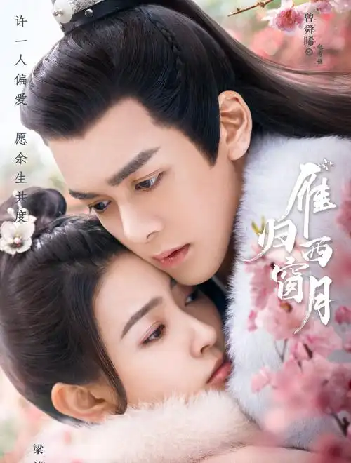 雁归西窗月_详细介绍_电视剧_爱特豆