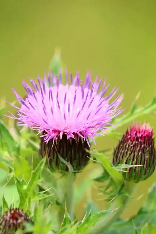 1024_1536竖版 竖屏