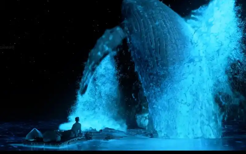 𝙖𝙣𝙙 𝙒𝙝𝙖𝙡𝙚』少年派的奇幻漂流