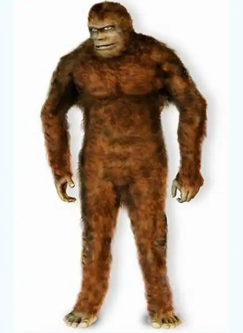 神农架真有野人吗?