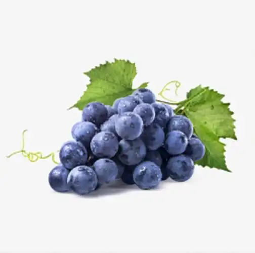 幼儿园  #水果  #分享图片  #素材 #高清图片丝各位姐妹,本人也是