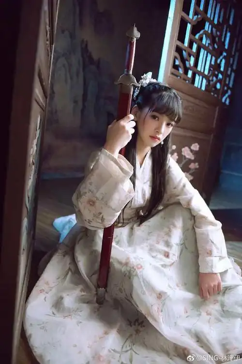 侠骨柔情林津伊