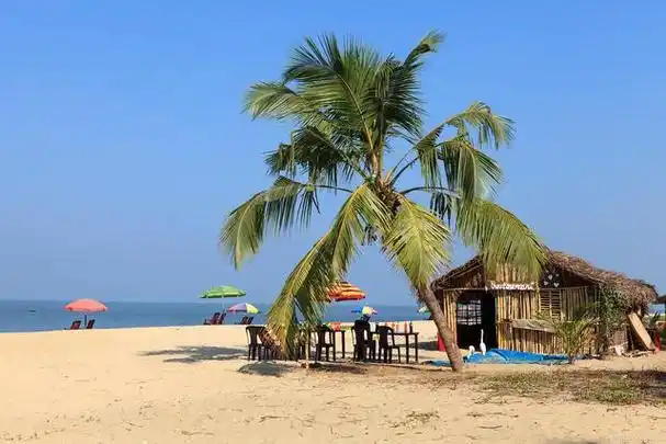 三亚,这座位于中国海南岛的热带滨海城市,以其仙境般的美景和宜人的