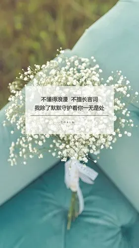 文字/句子/语录/情感/治愈/励志/伤感/古风/青春/手机壁纸/锁屏壁纸