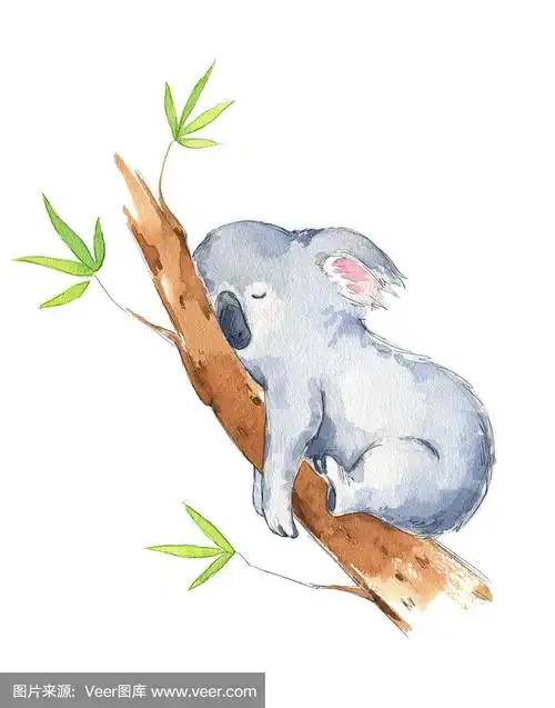 树袋熊,绘画插图,可爱的,水彩画,水彩画颜料