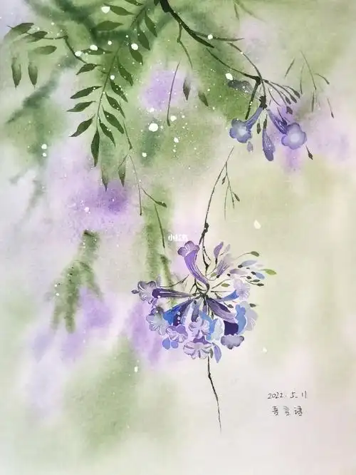 蓝楹花水彩花卉