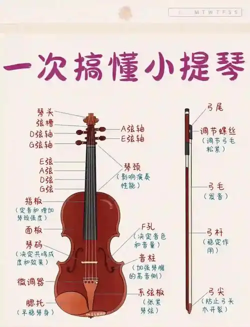 小提琴把位图初学指南