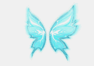 宠物 素材—飞鸟 翅膀