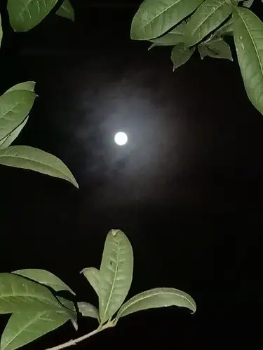 八月十五的月亮,遵义难得一见.