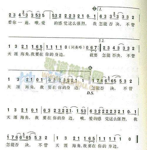 在你身边 歌谱简谱网