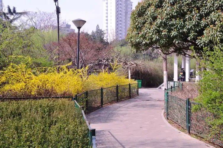 春天的郑州紫荆山公园 - 美篇