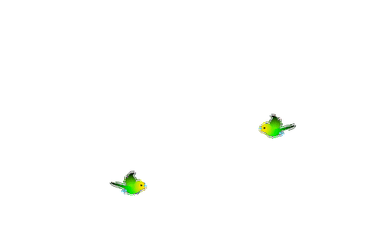 鸟gif动态图素材