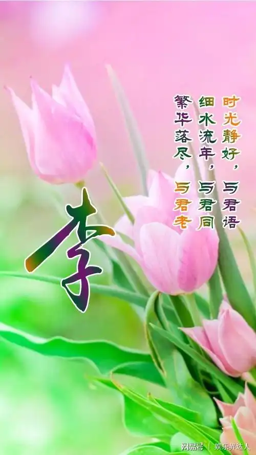 微信头像壁纸百家姓李姓专辑我姓李你在我心里