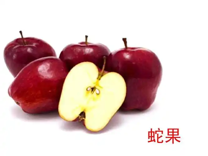 所有分类 幼儿教育 幼儿读物 水果图片大全ppt 图片清晰,名字准确