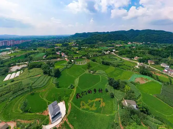 新农村一角.翠屏区融媒体中心供图