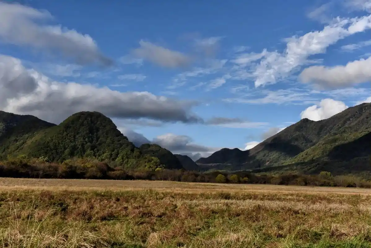 大九湖海拔1778米,其湿地生态系统包括亚高山草甸,泥灰藓沼 - 抖音