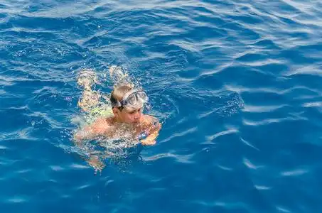 在大海里游泳图片