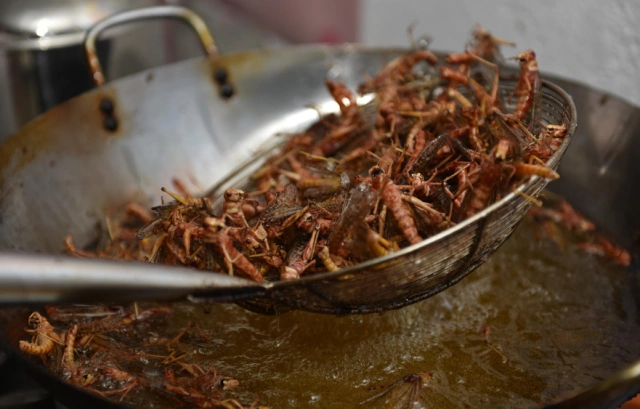 农村哥自制"虫子酱",年销几万瓶,怕的人不敢吃,爱的人不过瘾