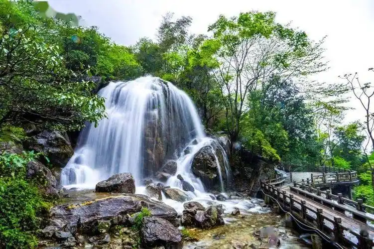 明月山这条公交线路有调整→_明月湾_洪江_旅游区