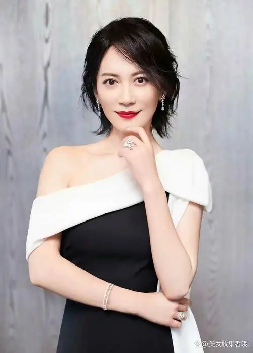 俞飞鸿是中国内地女演员,导演,制片人.