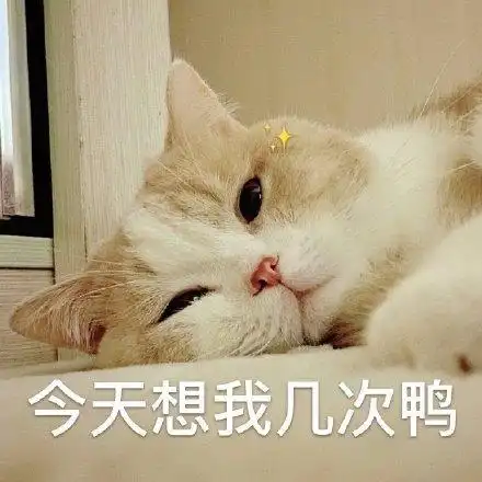 今天想我几次鸭(猫咪表情包)_猫咪_几次_今天表情