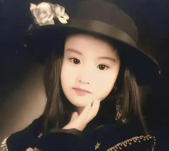 美国邻居出书,曝刘亦菲及母亲,在美国二婚的生活细节!