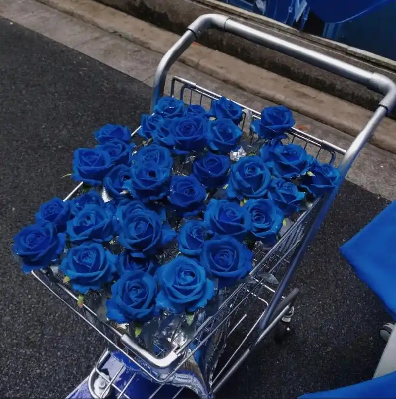 蓝色系ins风979797 超好看蓝色系列ins风背景图 很适合夏天