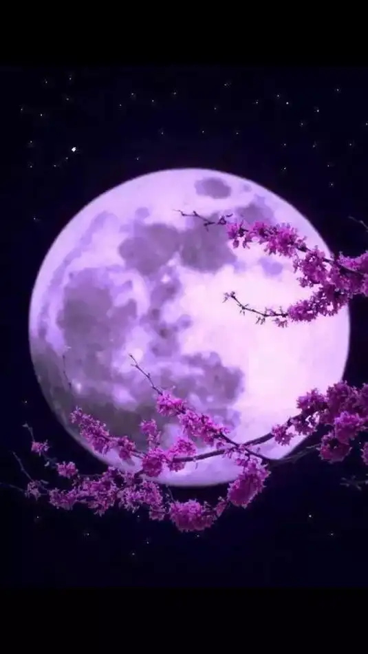 花月吟(四章)(竹榭一束)