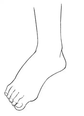 脚的画法该怎么画画脚需要注意什么