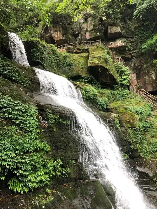雅安碧峰峡风景区