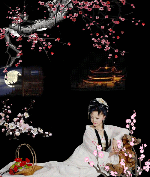 550_650gif 动态图 动图