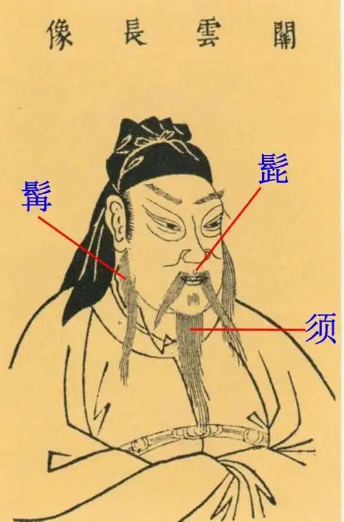 年老时看胡须.面白无须到老孤寒