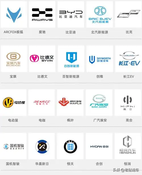 新能源汽车车标图片大全及名字我们先放个大招,下面这些国产新能源