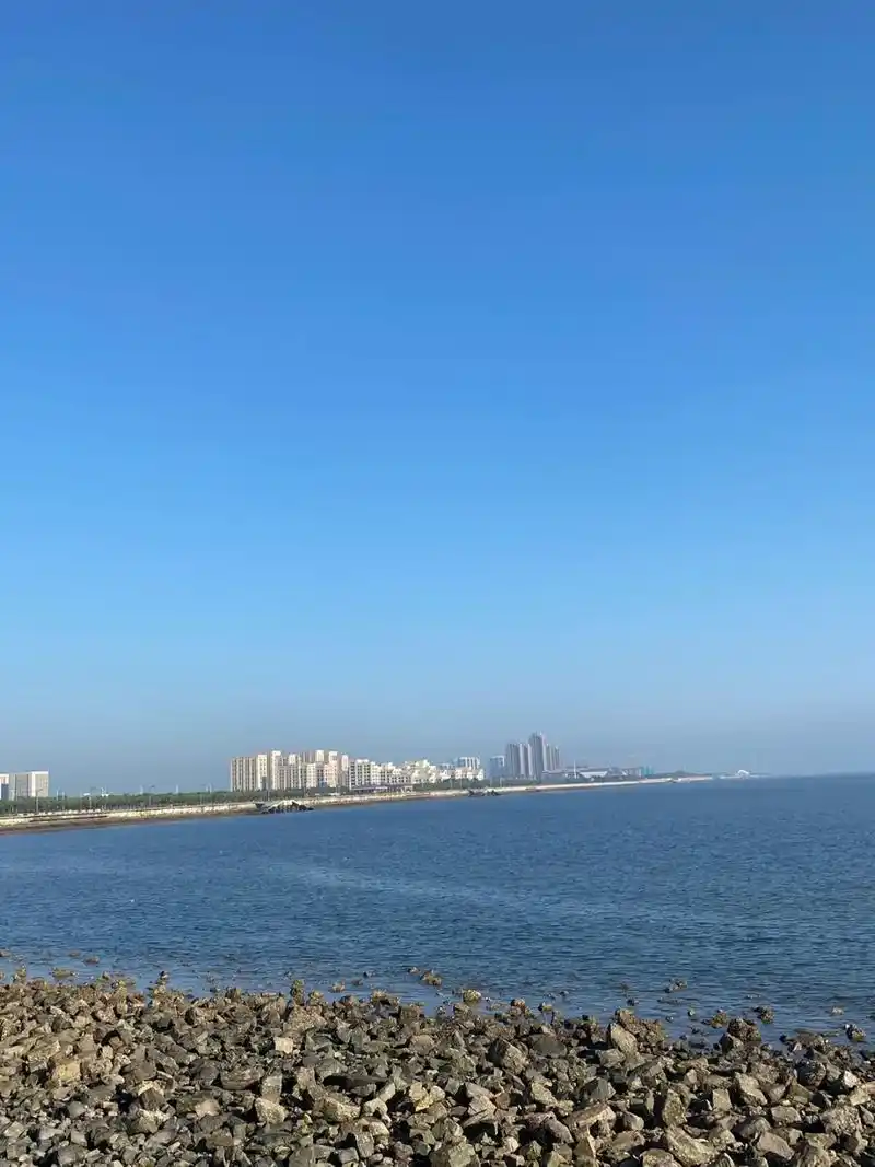 1号天津东疆亲海公园附近赶海   早上7:30出发,8:30到达 玩了3个小时