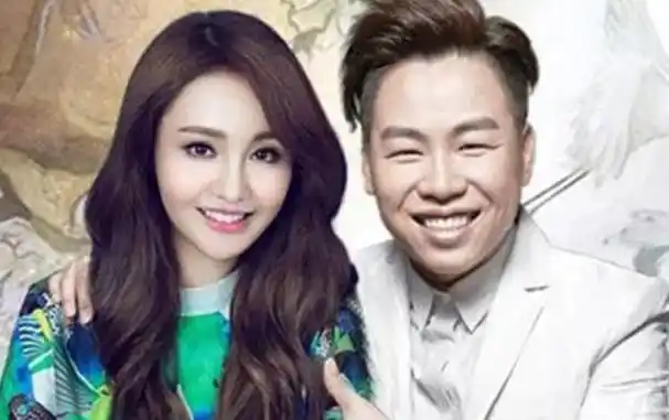 已无财产可供执行的郑爽,要面临的绝不光是随时被起诉|张翰|张恒|李钟