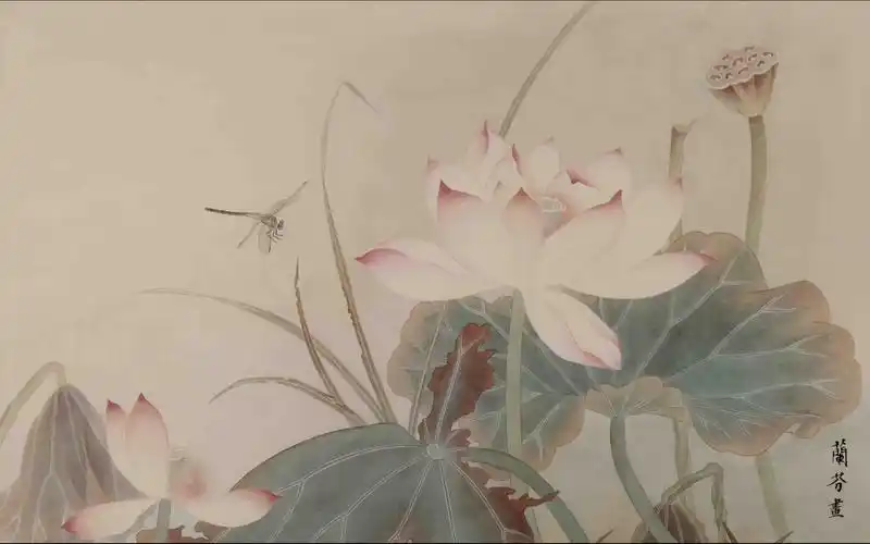 中国风,水墨画,国画,艺术,莲花,荷花,荷叶中国风壁纸图片