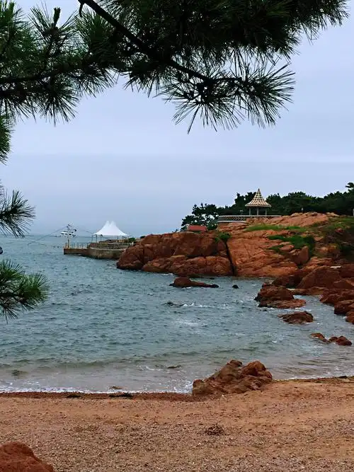 青岛鲁迅公园 - 美篇