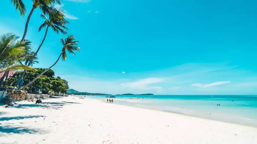 海洋守护者便携式海水检测仪守护蓝色星球的每一滴海水