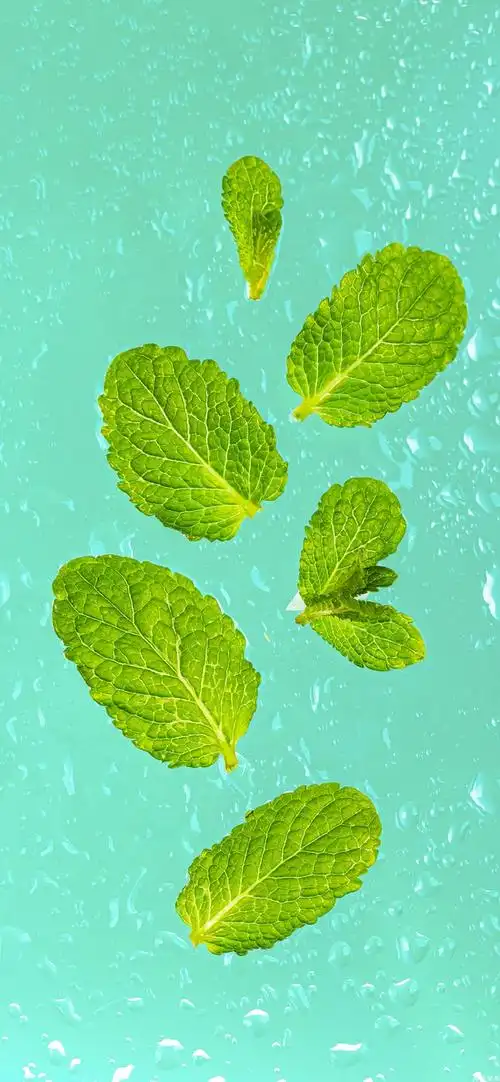 求蓝色系的壁纸很夏天的感觉