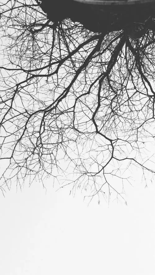 清新黑白简约平铺壁纸