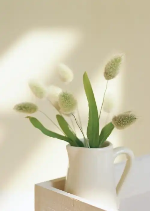 阳光照进的房间图片第18张