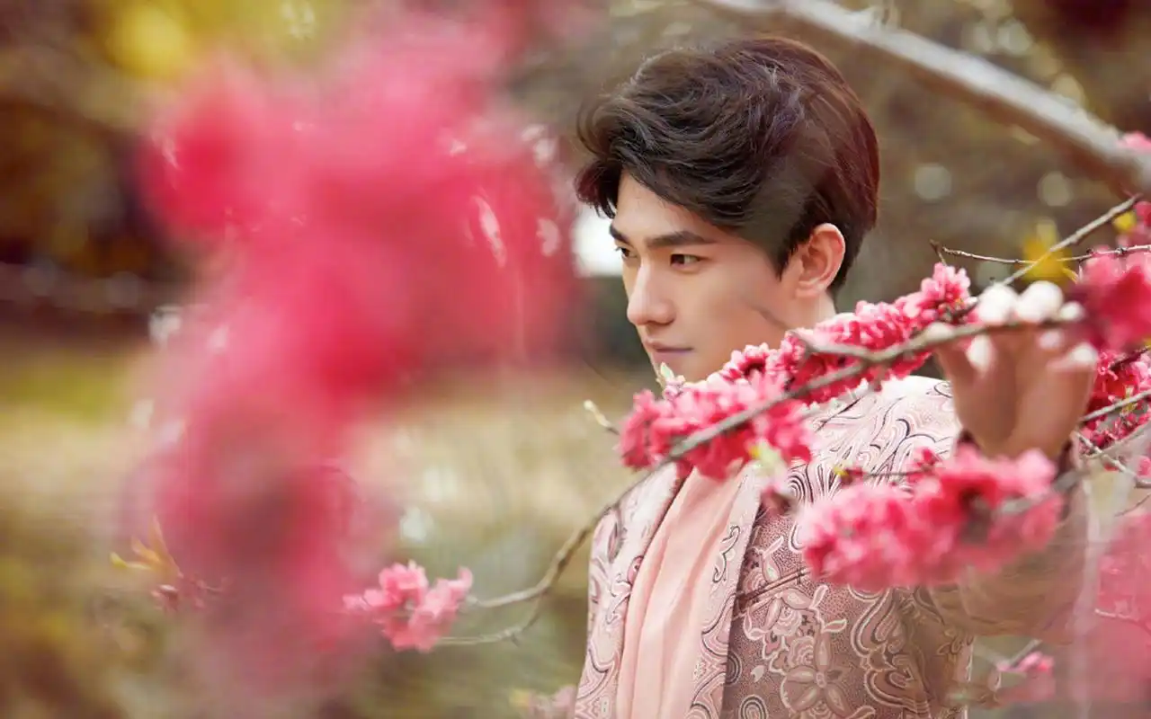 杨洋桃花树下浪漫帅气写真图片桌面壁纸