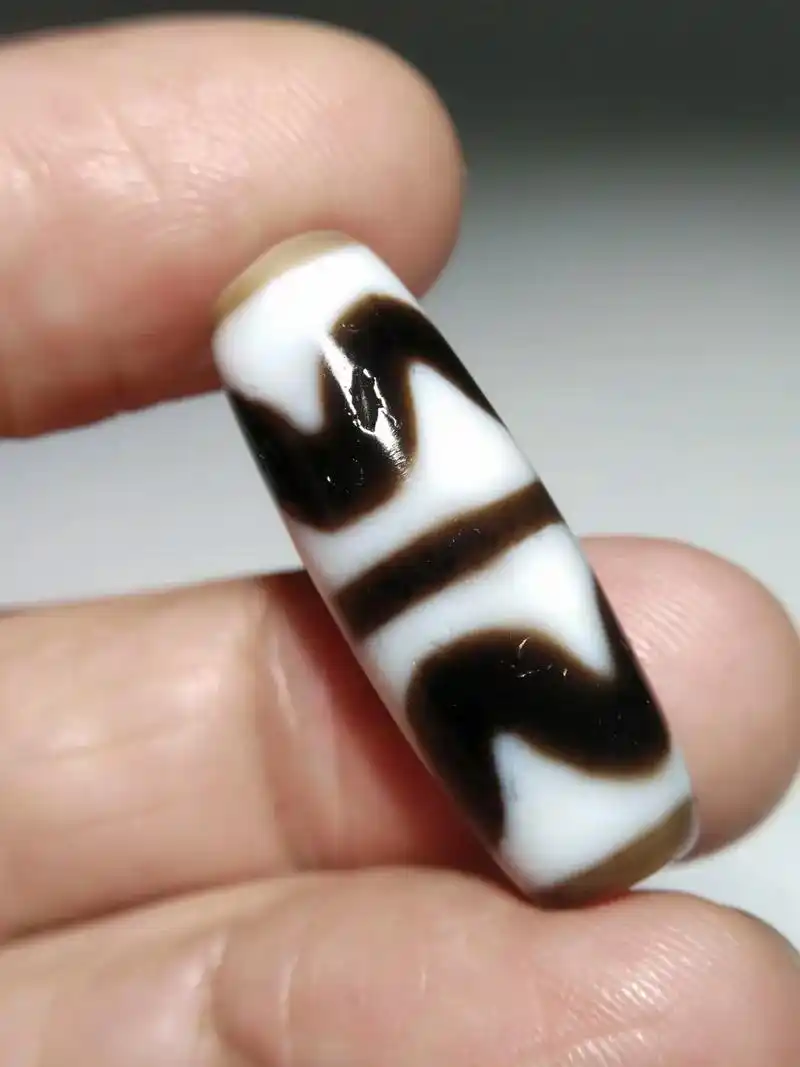 高油润藏传至纯双虎牙天珠,通体白化白芯,泌色唯美老味,强光不 - 抖音