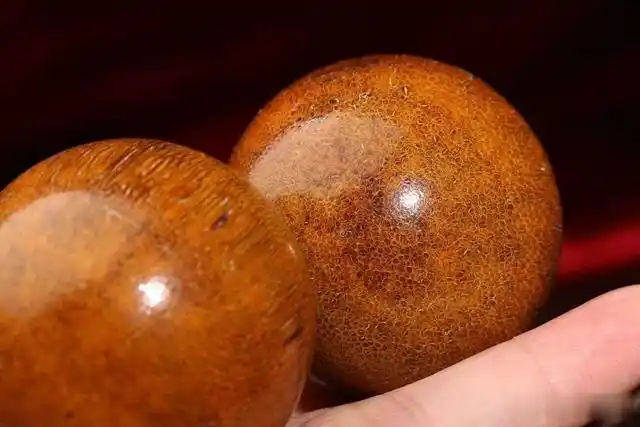 揭秘犀角三十年造假史,这几种仿品你见过? - 社会资讯(主打网)