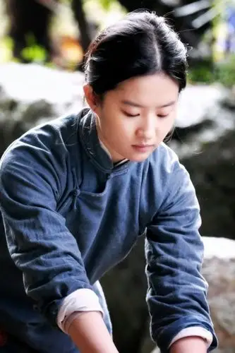 刘亦菲 英子 2017电影《烽火芳菲》图源@西子cc_turbo