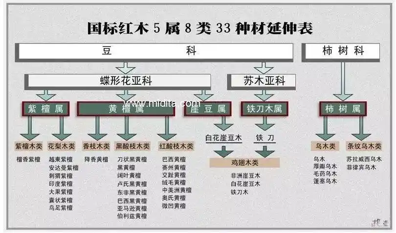 图解国标红木33种哪种红木升值潜力最大